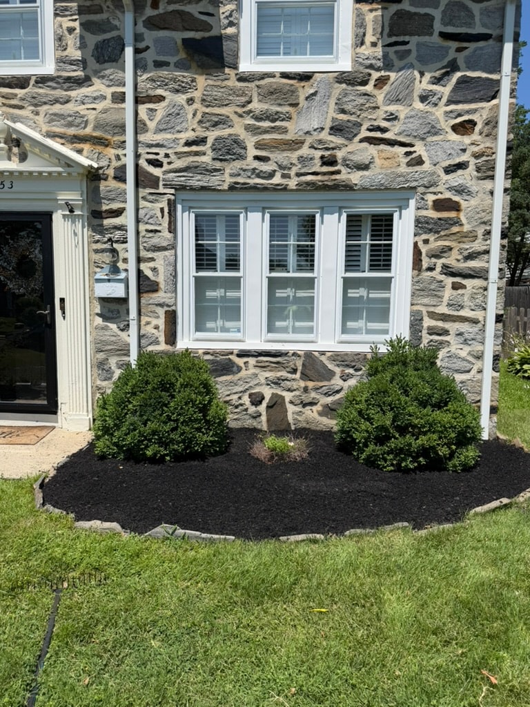 Freshly mulched foundation planting bed in Lansdowne, PA